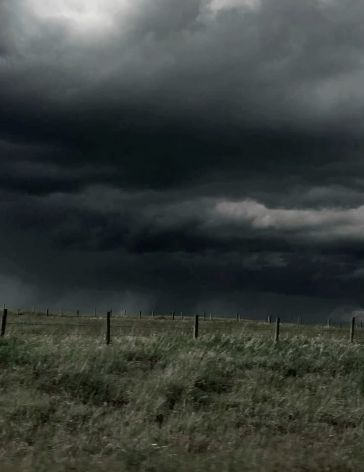 Kracht in de storm – Hoe mijn verleden mij sterker maakt